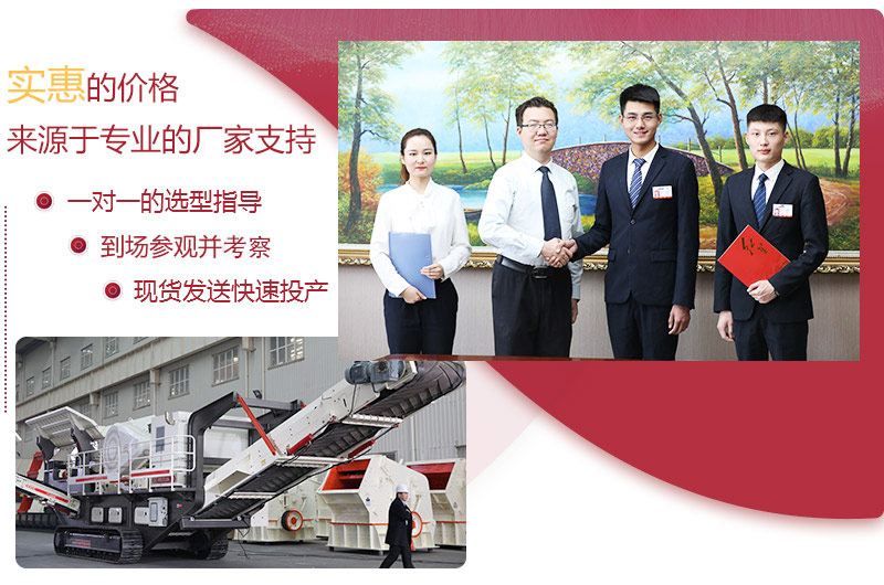 專業廠家，快速投產 