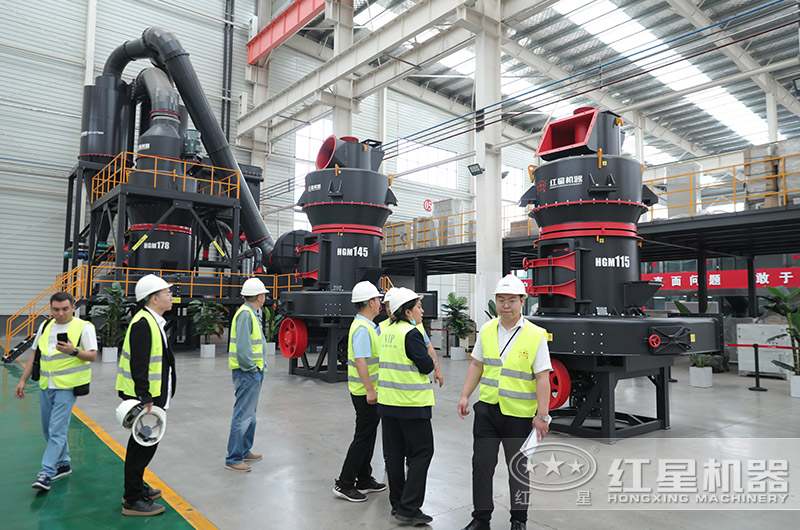 客戶來廠考察磨粉機設備